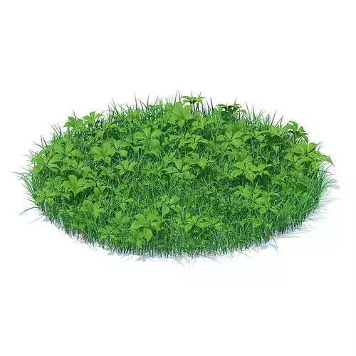 Grass with Plants 3D Model