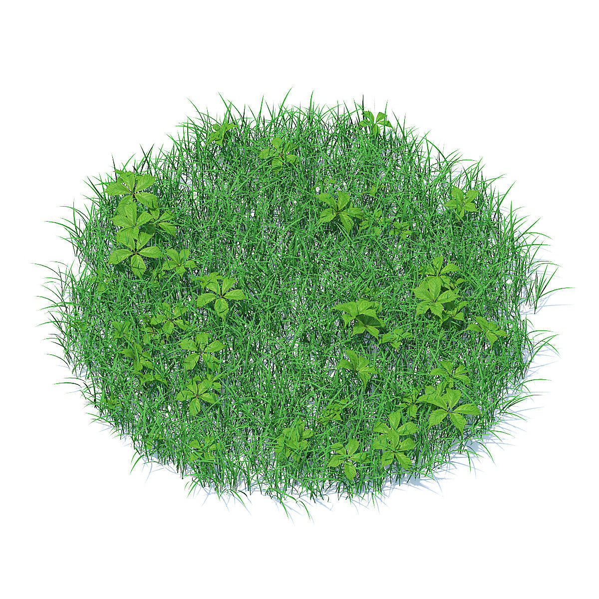 Grass with Plants 3D Model 3D model_1