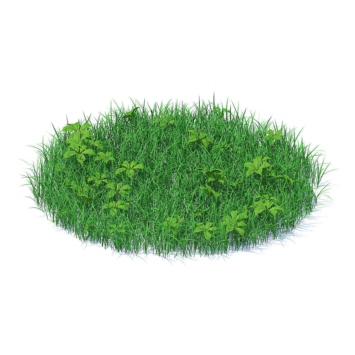 Grass with Plants 3D Model 3D model_2