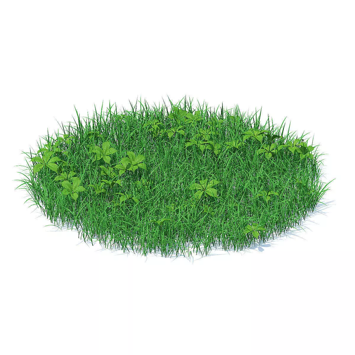 Grass with Plants 3D Model 3D model_0