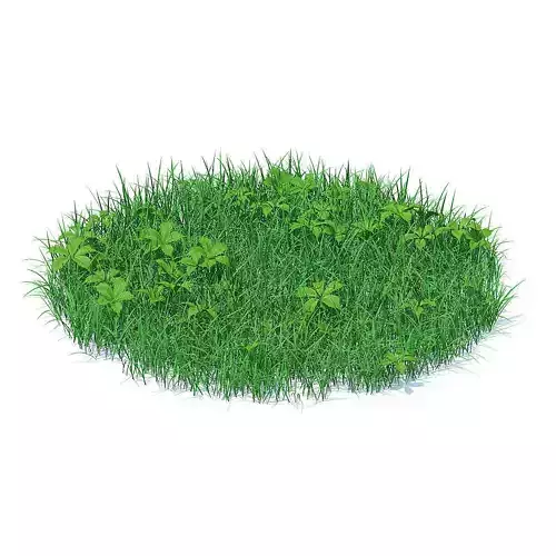 Grass with Plants 3D Model