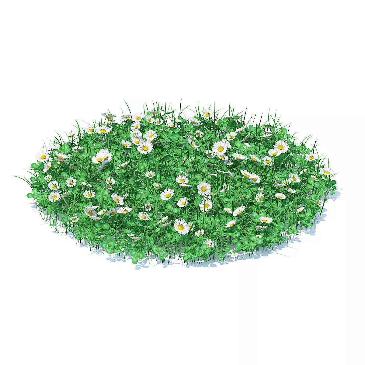 Grass with Clover and Daises 3D Model 3D model_0