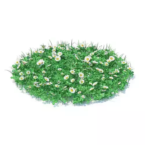 Grass with Clover and Daises 3D Model