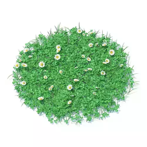 Grass with Clover and Daises 3D Model 3D model