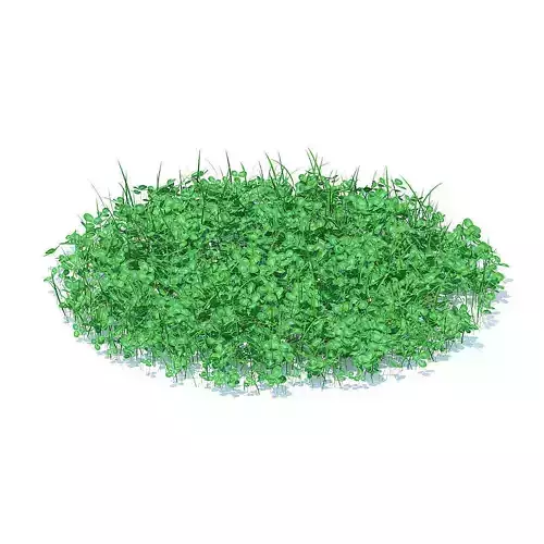 Grass with Clover 3D Model 3D model