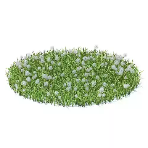 Grass with Sow-thistles 3D Model 3D model