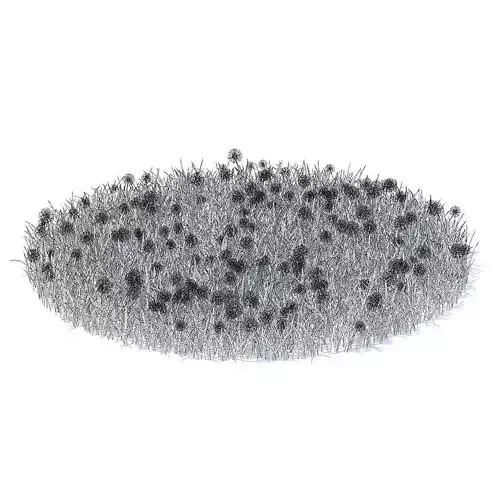Grass with Sow-thistles 3D Model
