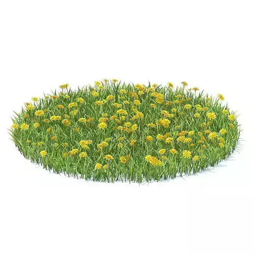 Grass with Sow-thistles 3D Model