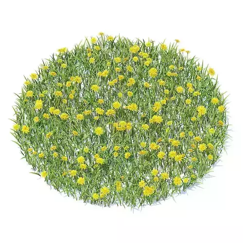 Grass with Sow-thistles 3D Model