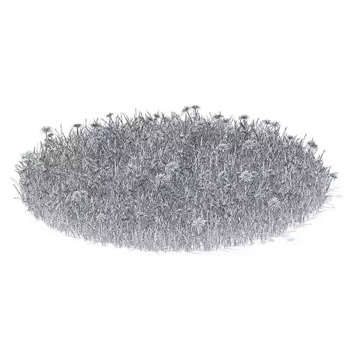 Grass with Sow-thistles 3D Model