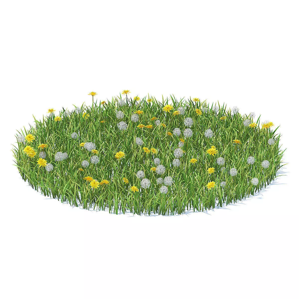 Grass with Sow-thistles 3D Model 3D model