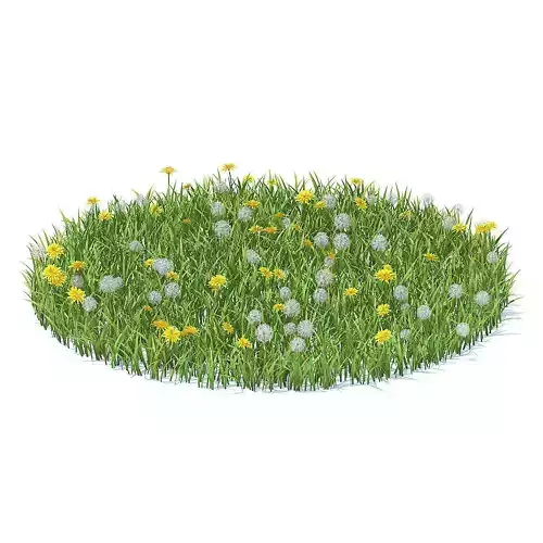 Grass with Sow-thistles 3D Model