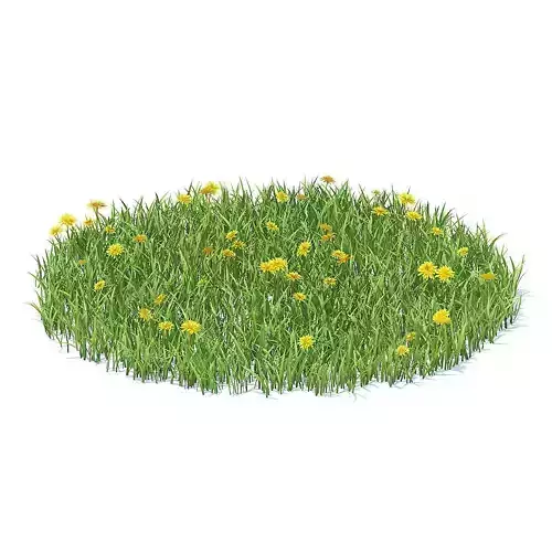 Grass with Sow-thistles 3D Model