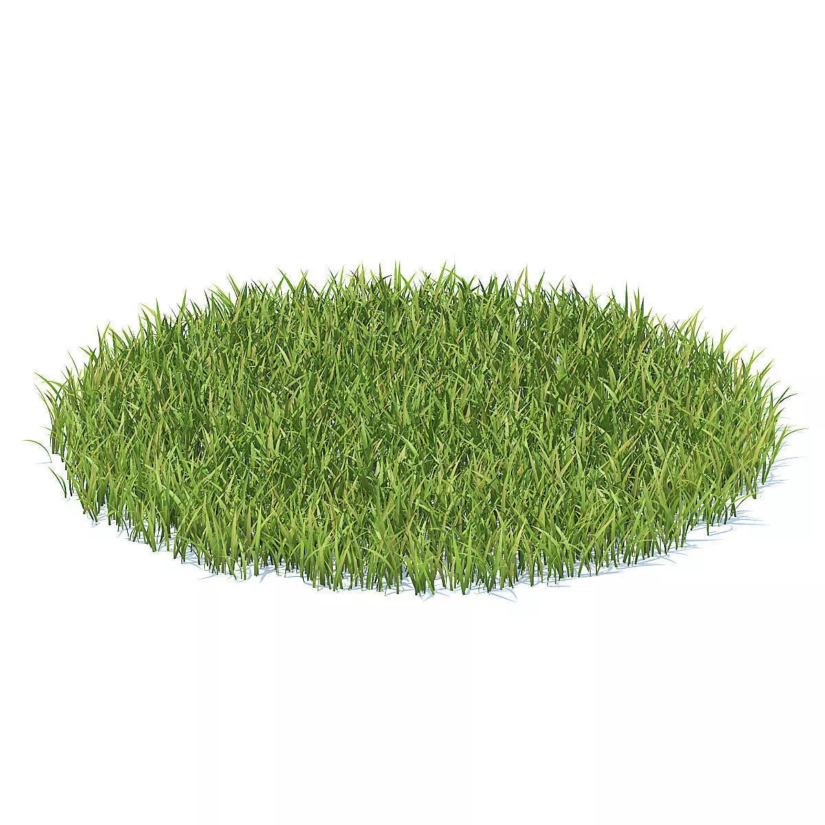 Grass 3D Model circle of 3D model_0