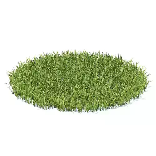 Grass 3D Model circle of