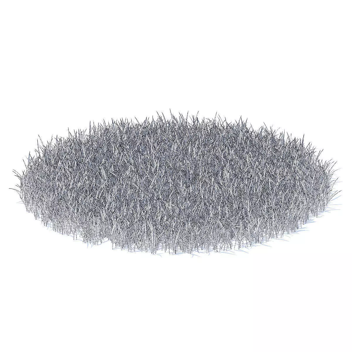 Grass 3D Model circle of 3D model_5