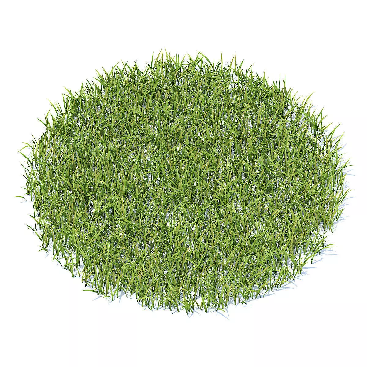 Grass 3D Model circle of 3D model_1