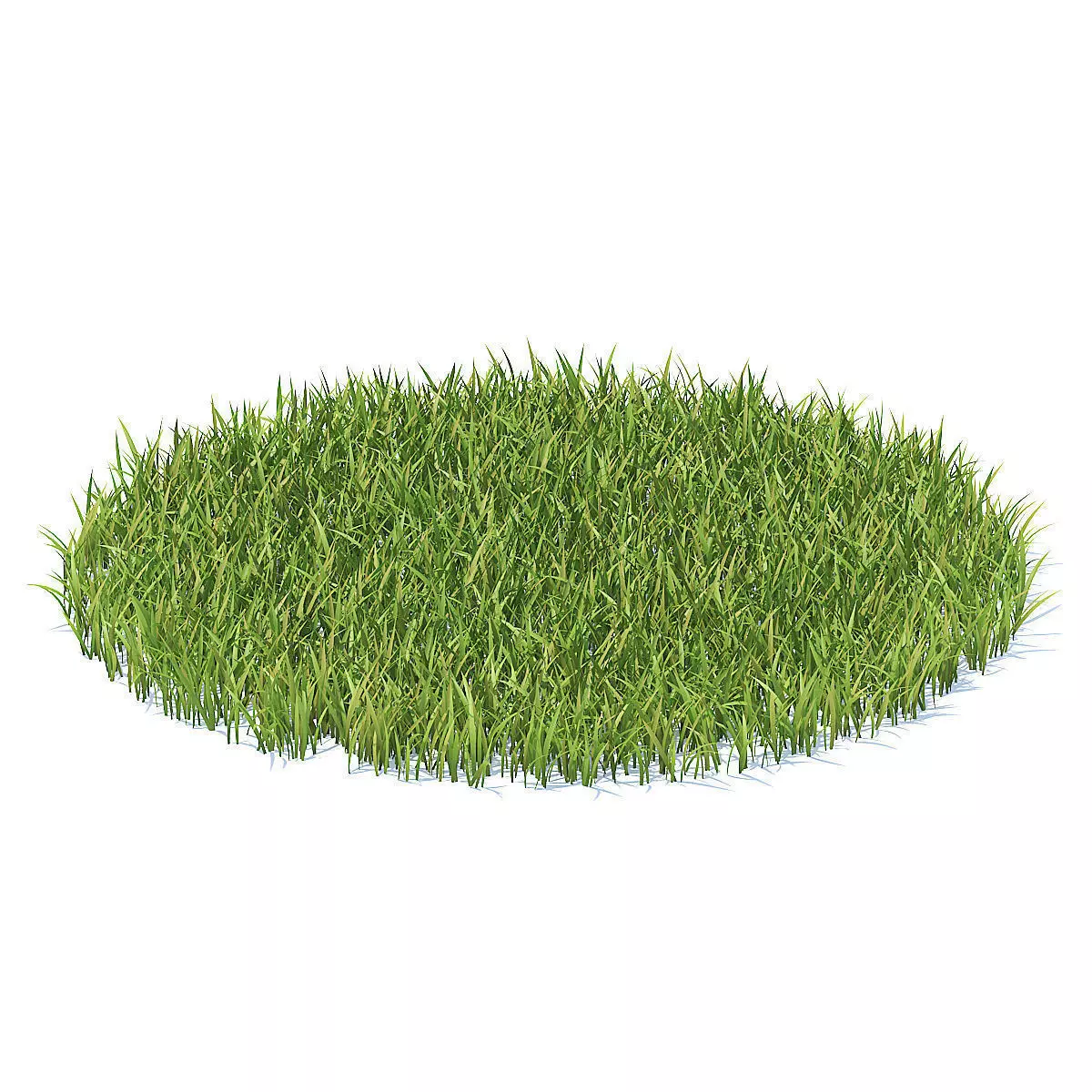 Grass 3D Model circle of 3D model_2