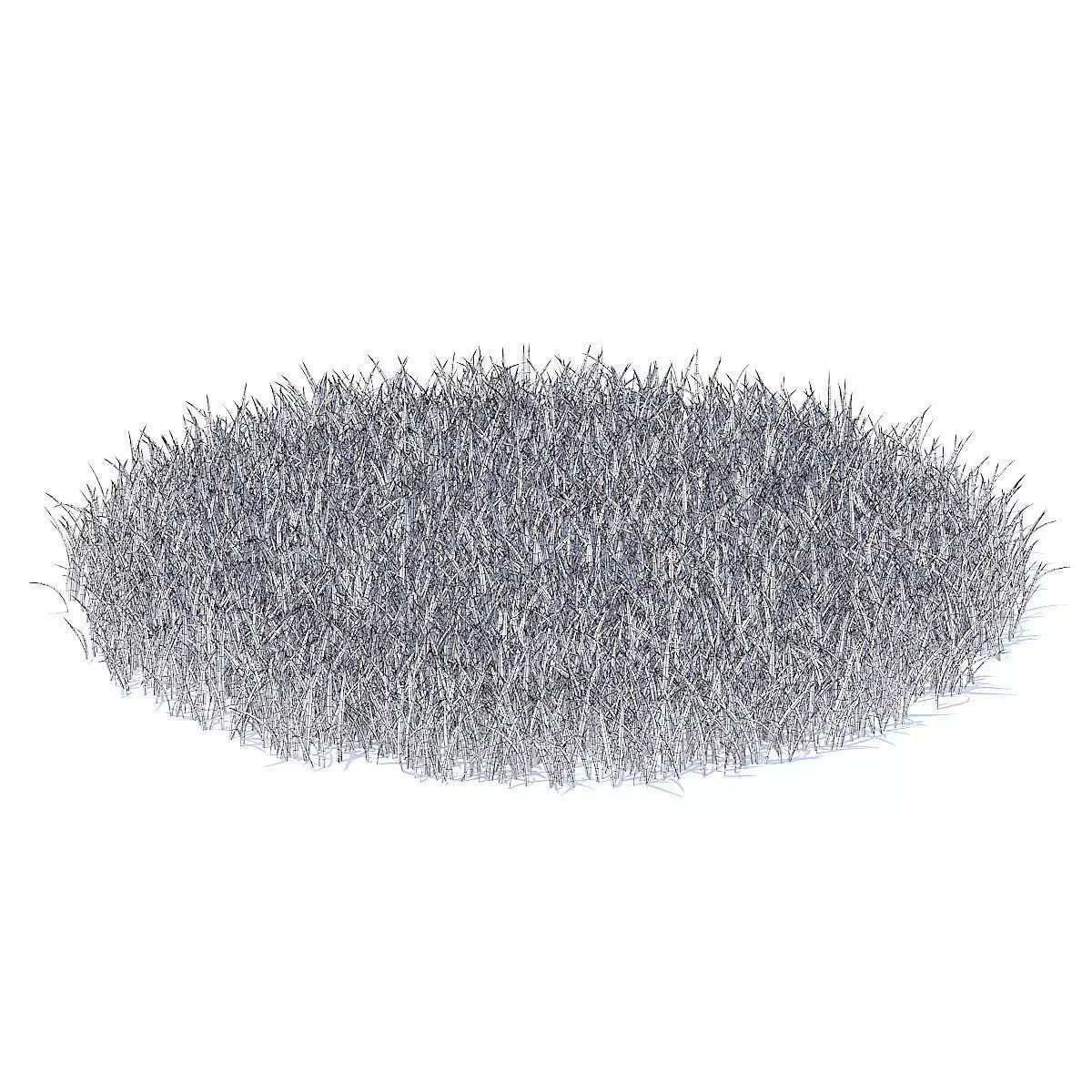 Grass 3D Model circle of 3D model_3