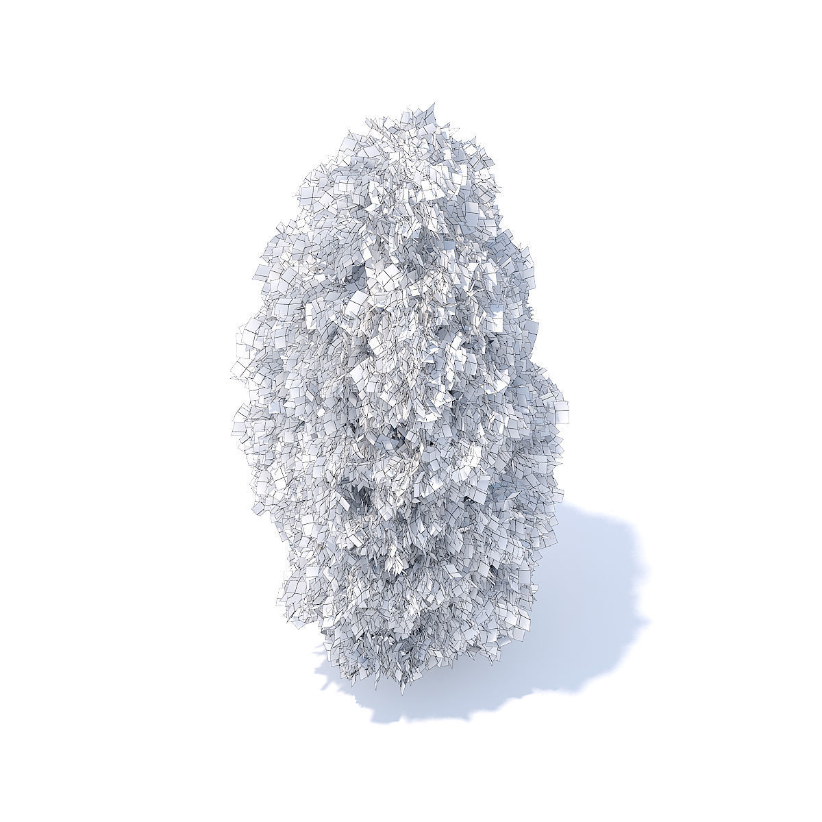 Thuja Shrub 3D model_3