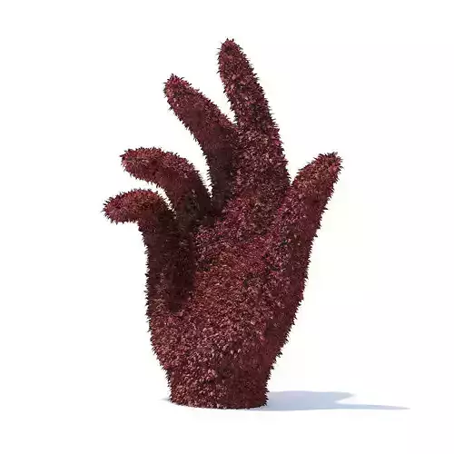 Hand Shaped Red Hedge