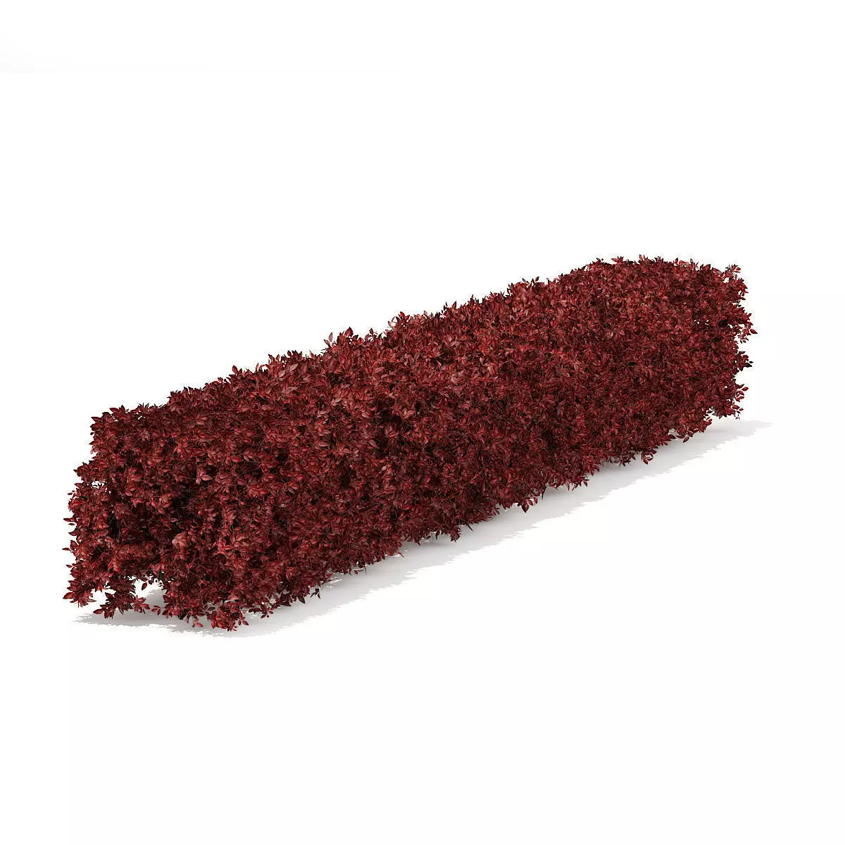 Straight Red Hedge 3D model_2