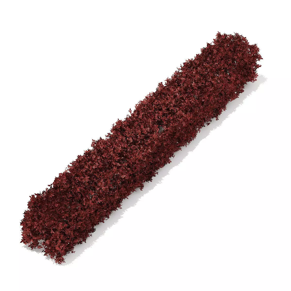 Straight Red Hedge 3D model_1
