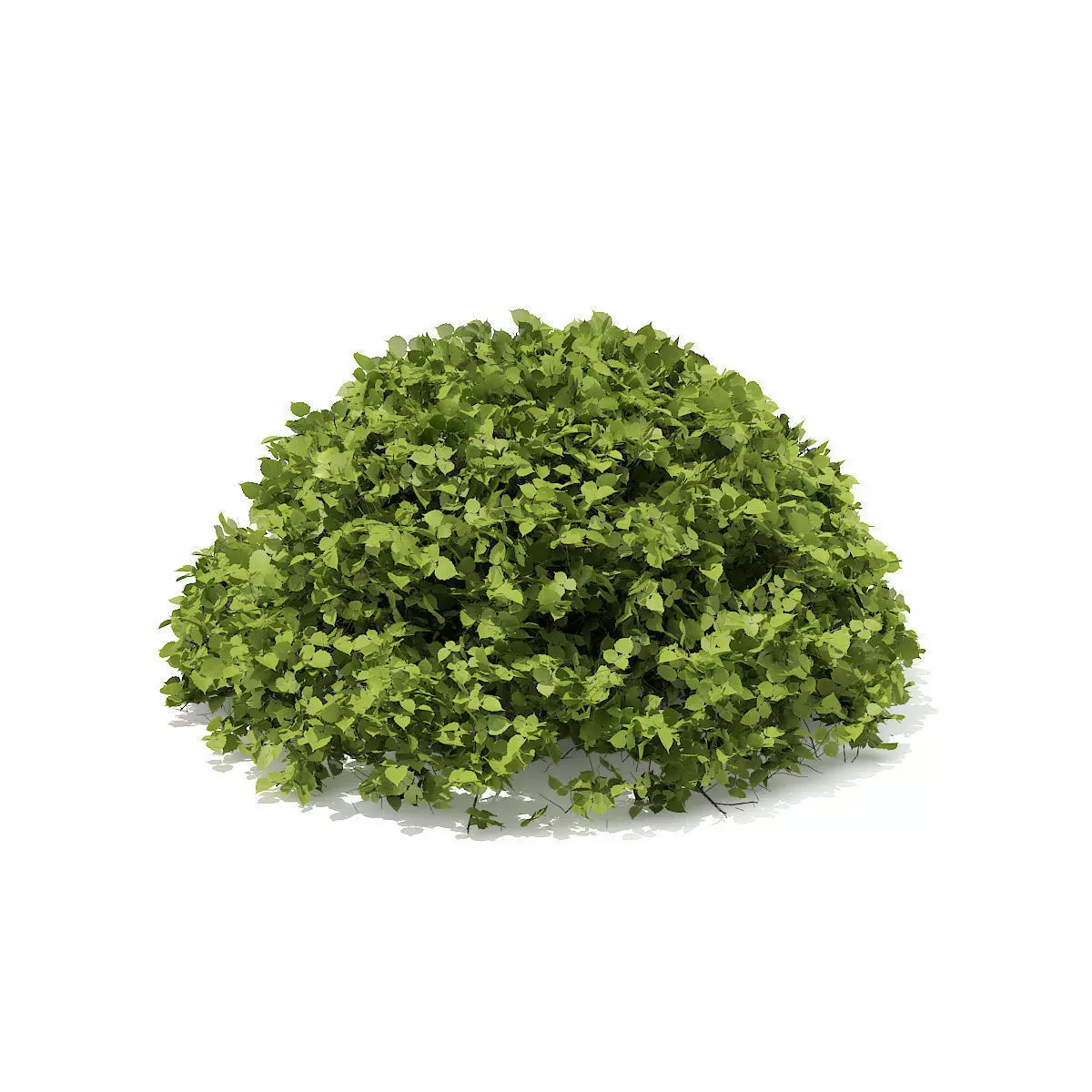 Half-Sphere Hedge 3D model_0