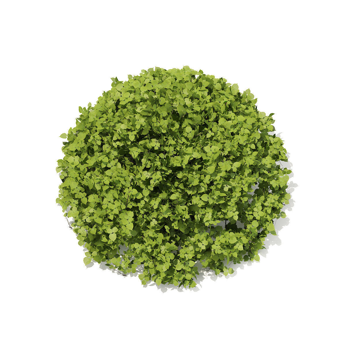 Half-Sphere Hedge 3D model_2