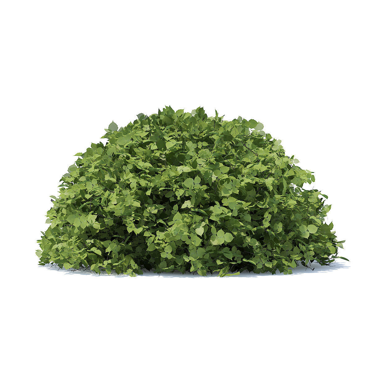 Half-Sphere Hedge 3D model_1