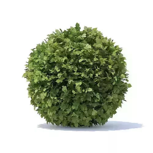 Spherical Hedge