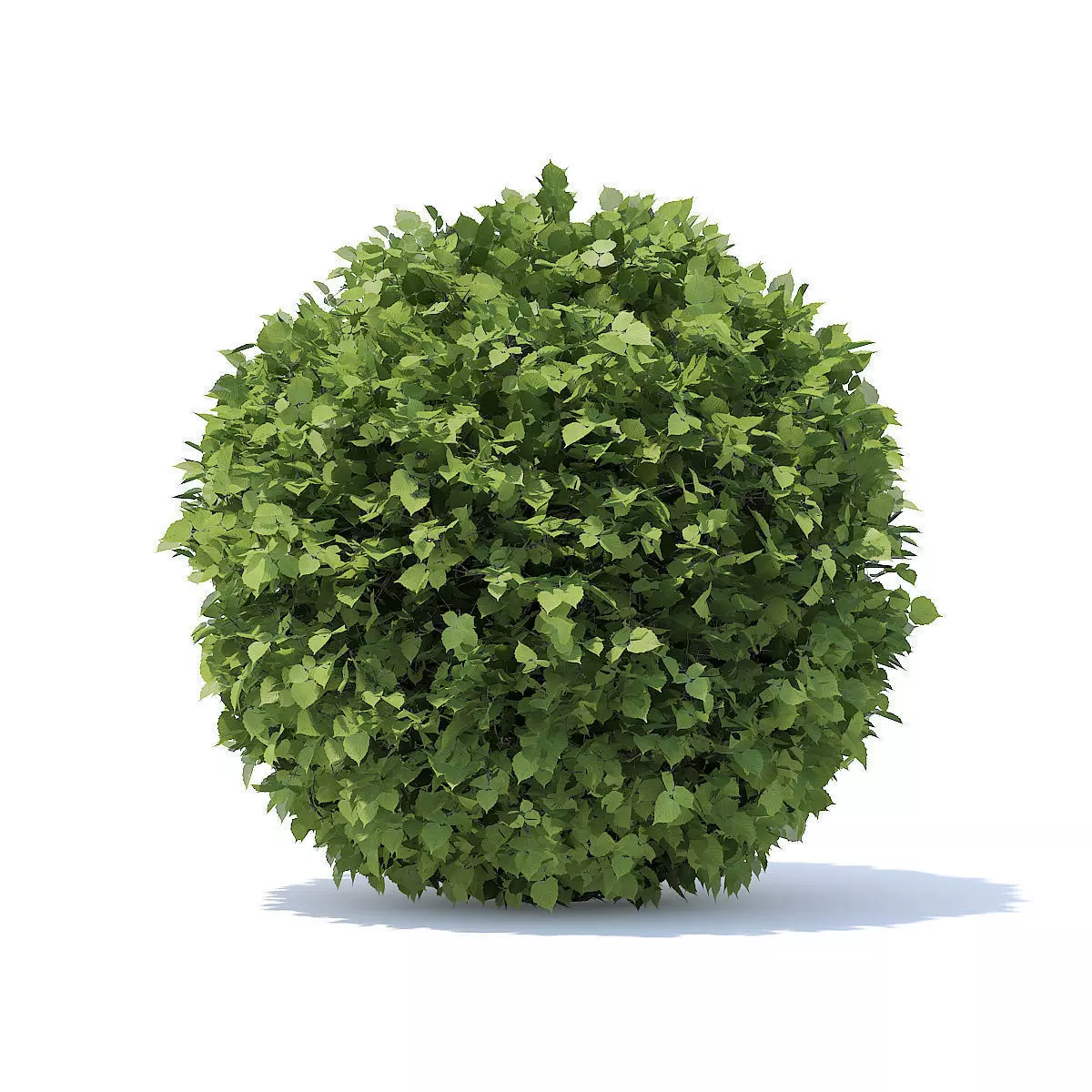 Spherical Hedge 3D model