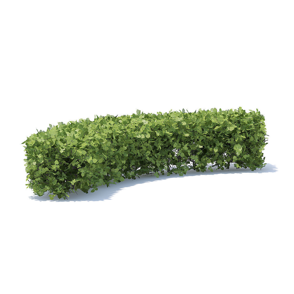 Curved Hedge 3D model_2