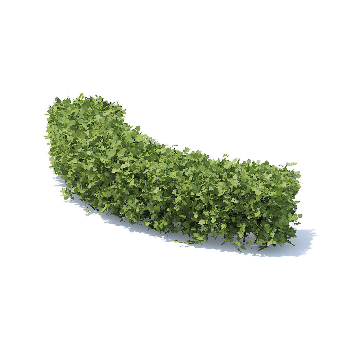 Curved Hedge 3D model_1
