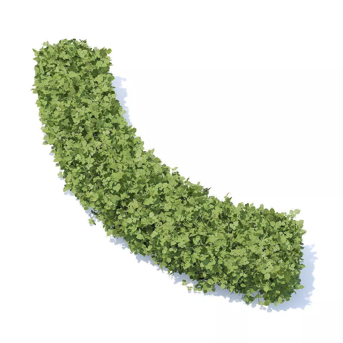 Curved Hedge 3D model_0