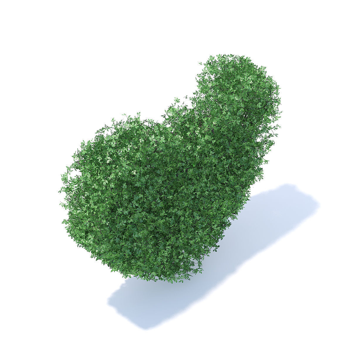 Heart Shaped Shrub 3D model_2