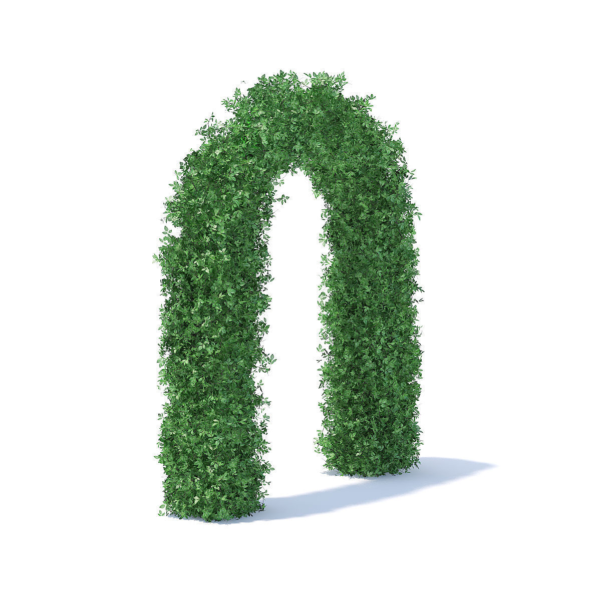 Arc Shaped Hedge 3D model_1