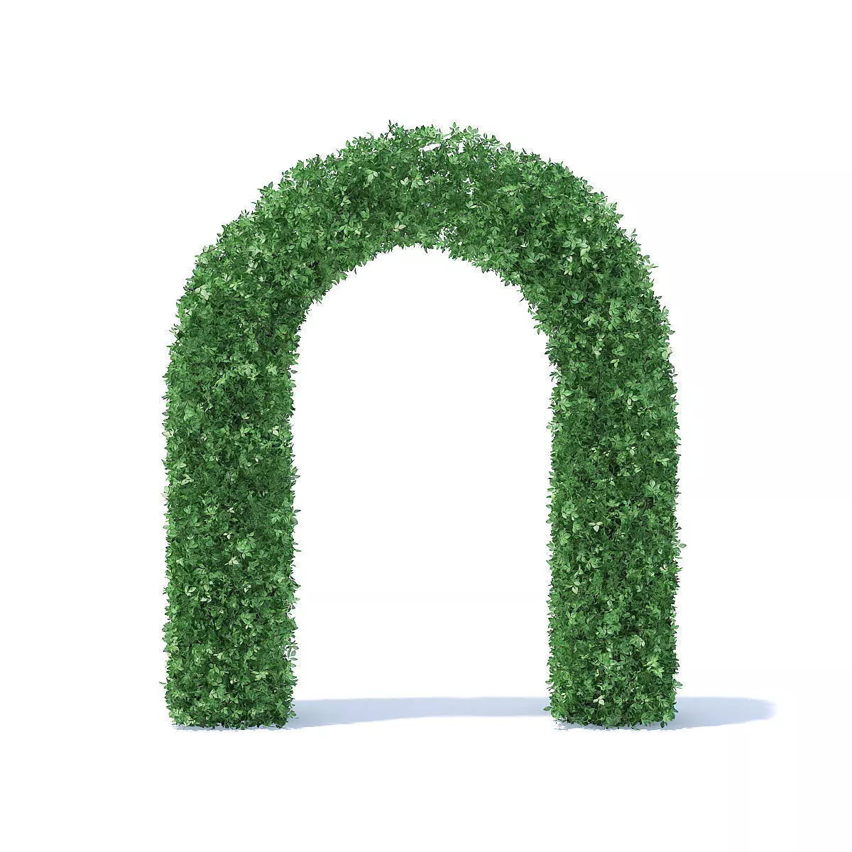 Arc Shaped Hedge 3D model_0