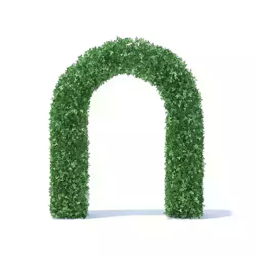 Arc Shaped Hedge