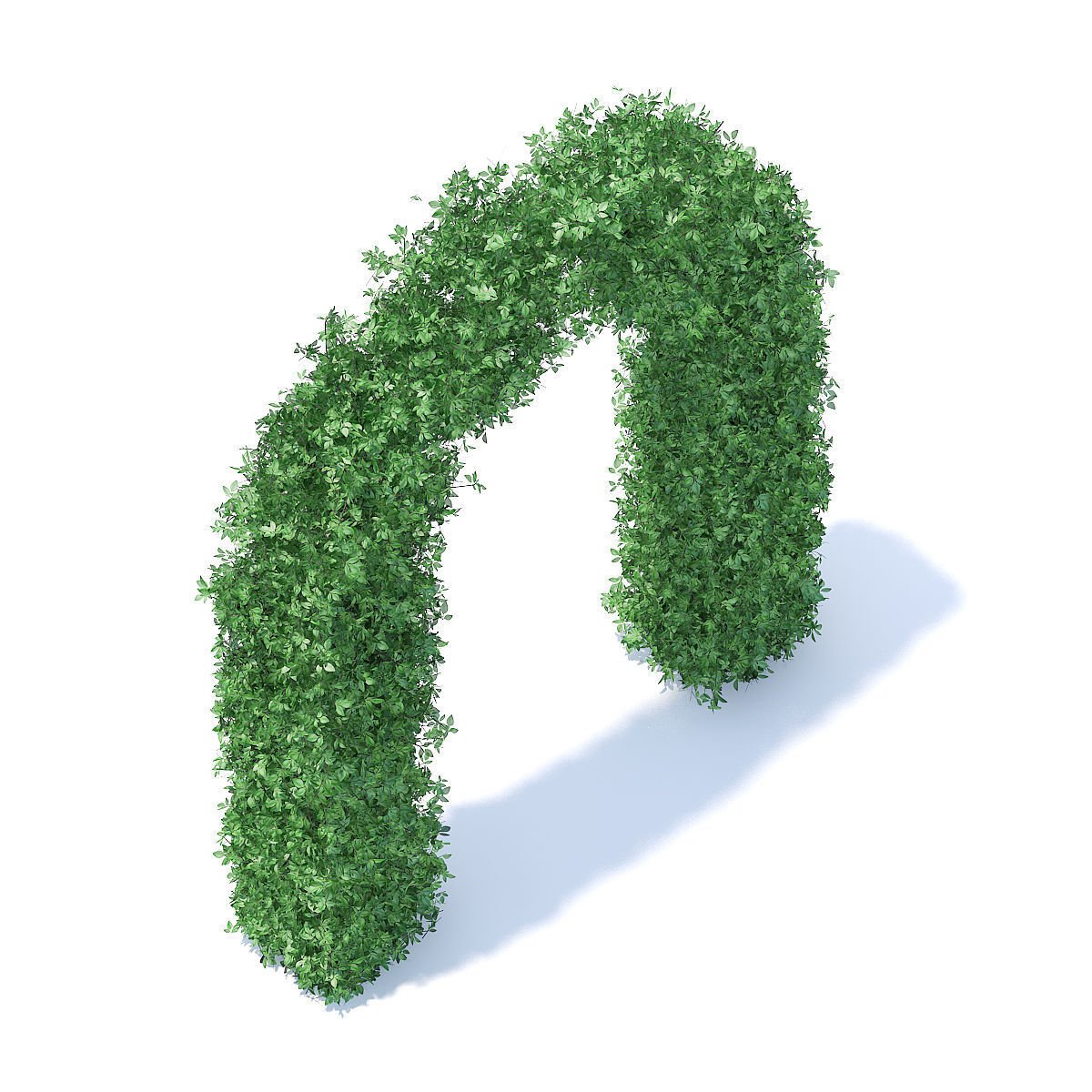Arc Shaped Hedge 3D model_2