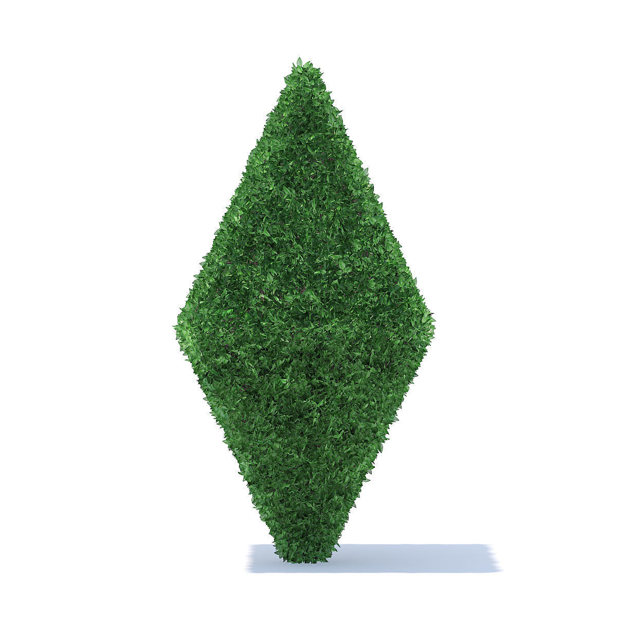 Diamond Shaped Hedge 3D model_2