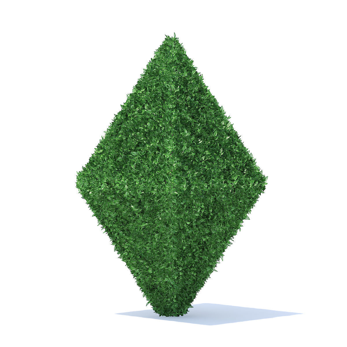 Diamond Shaped Hedge 3D model_1