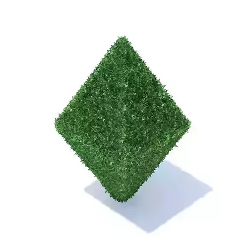 Diamond Shaped Hedge