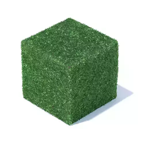 Cube Shaped Hedge