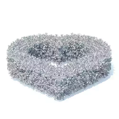 Heart Shaped Hedge