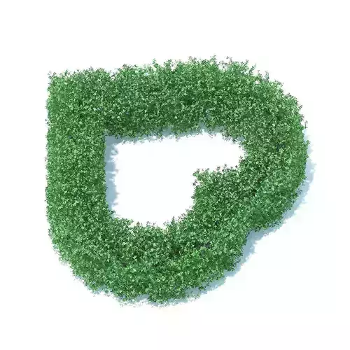 Heart Shaped Hedge 3D model