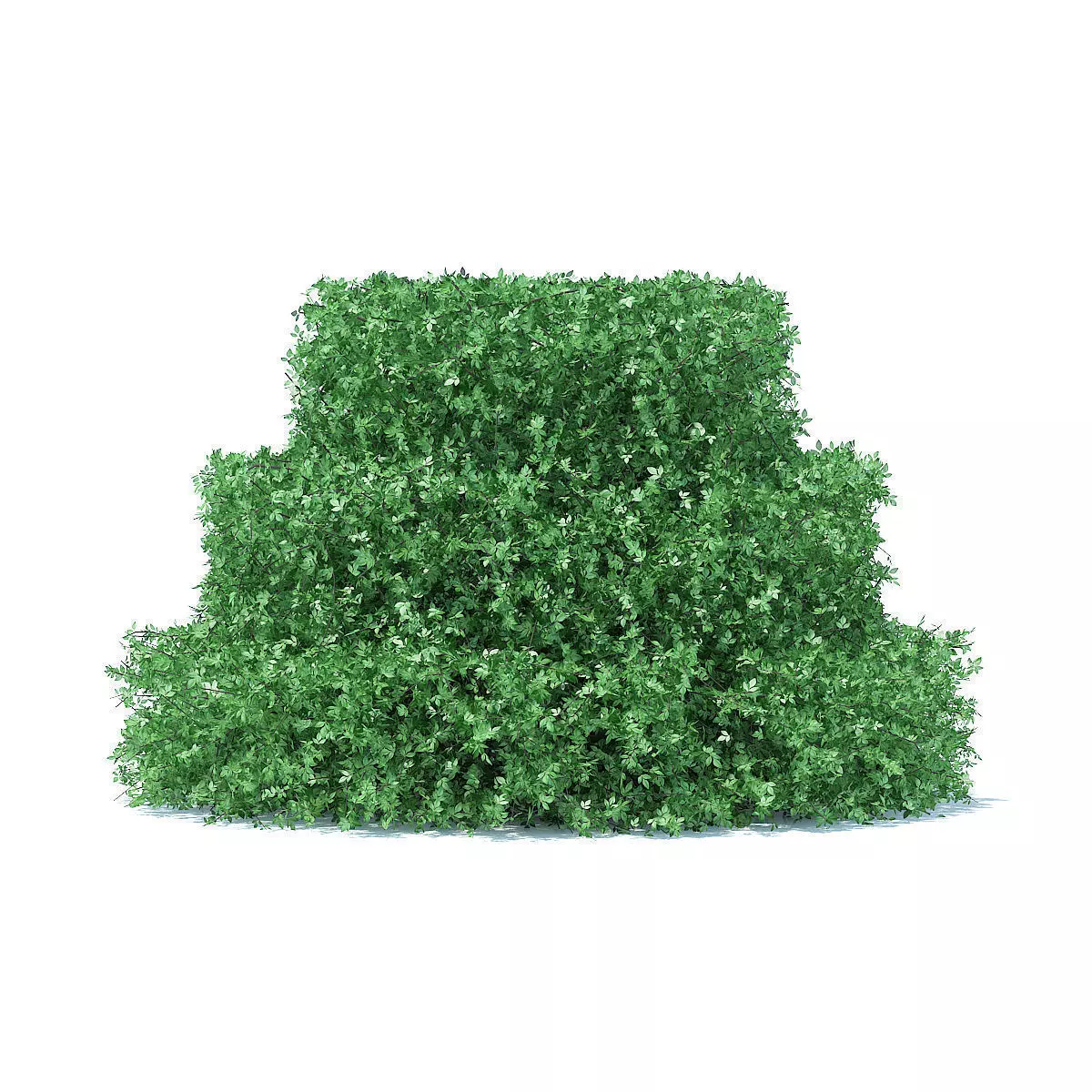 Cake Shaped Hedge 3D model_0