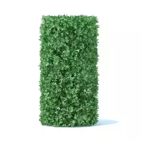 Cylindrical Hedge