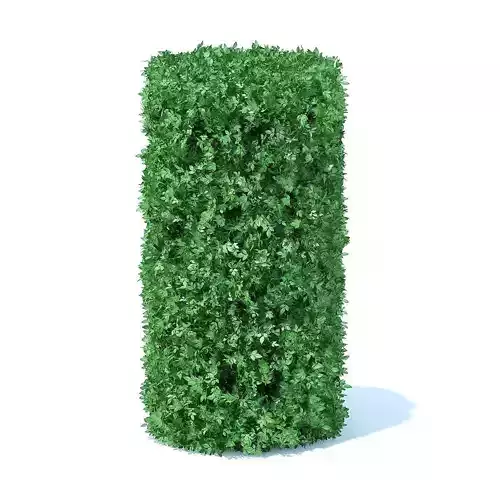 Cylindrical Hedge