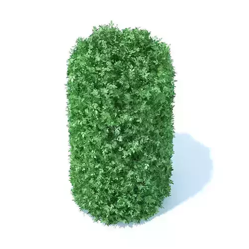 Cylindrical Hedge
